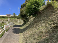 IMG_6005
