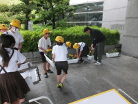 DSCF4365