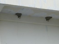P1011936