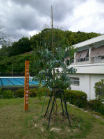 DSCF0127