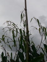 DSCF0129