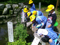 DSCF0509
