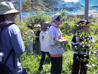 DSCF0295