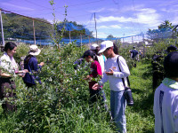 DSCF0296