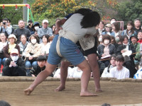 DSCF4263