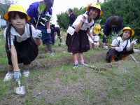 DSCF0020