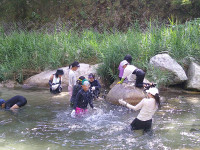 DSCF0341