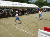 IMG_6677