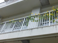 DSCF4120