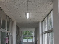 DSCF4131