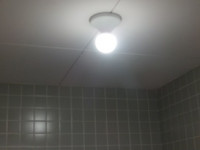 DSCF4132