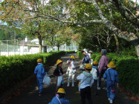 DSCF6008